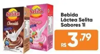 Atacado Vem Bebida Láctea Selita Sabores oferta