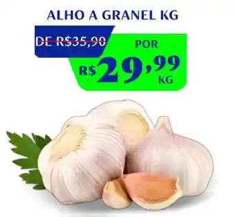 Rede Compras Alho a granel oferta