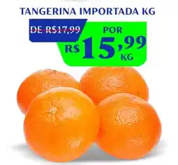 Rede Compras Tangerina importada oferta