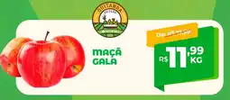 Del Moro Supermercados MAÇÃ GALA oferta