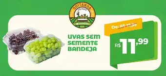 Del Moro Supermercados Uvas sem semente bandeja oferta