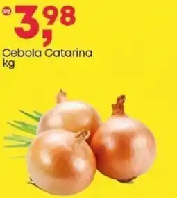 Frangolândia Cebola Catarina oferta