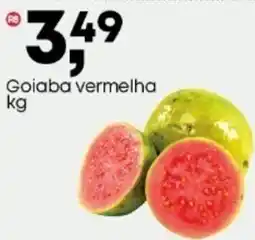 Frangolândia Goiaba vermelha oferta