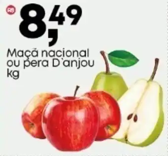 Frangolândia Maçã nacional ou pera D'anjou oferta