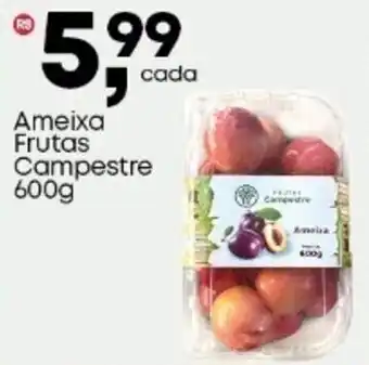 Frangolândia Ameixa Frutas Campestre oferta