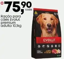 Frangolândia Ração para cães Evolut premium adulto oferta