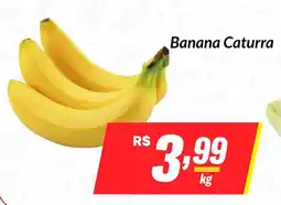 Stok Center Banana Caturra oferta