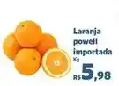 Sam's Club Laranja powell importada oferta