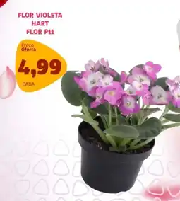 Bergamais Supermercados Flor violeta hart flor p11 oferta