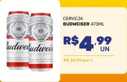 Rede Super Passo Cerveja budweiser oferta