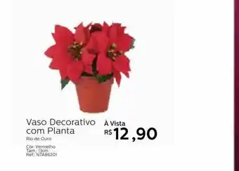 Vaso Decorativo Com Planta