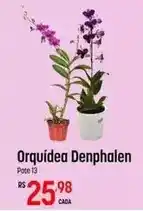 Muffato Orquídea - denphalen oferta