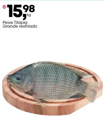 Frangolândia Peixe Tilápia Grande resfriado oferta