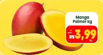 Vivendas Supermercados Manga Palmer oferta