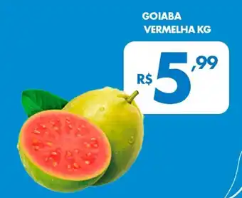 Lourencini Supermercados Goiaba vermelha oferta