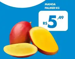 Lourencini Supermercados Manga palmer oferta