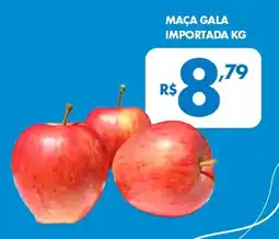 Lourencini Supermercados Maça gala importada oferta