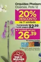 Carrefour Dia - orquídea oferta