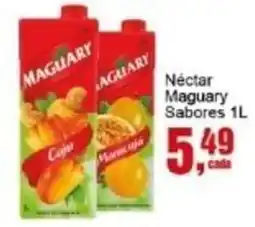 Negreiros Néctar Maguary Sabores oferta