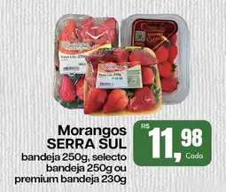 Cometa Supermercados Morangos SERRA SUL oferta