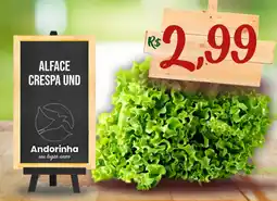 Andorinha Hipermercado Alface crespa und oferta