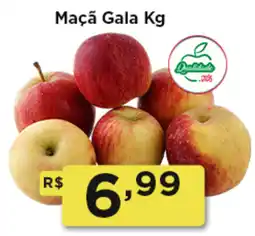 Rede Vivo Maçã Gala oferta