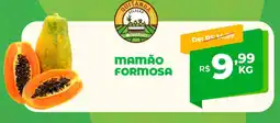 Del Moro Supermercados Mamão formosa oferta