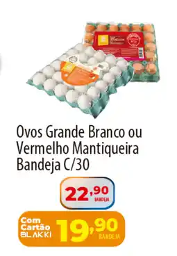 Akki Atacadista Ovos Grande Branco ou Vermelho Mantiqueira Bandeja C/30 oferta