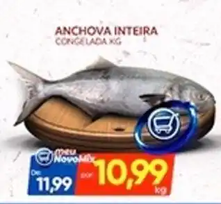 Novo Mix Anchova inteira congelada oferta