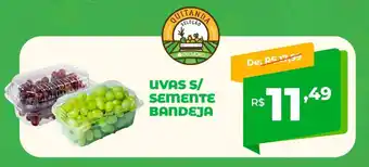 Del Moro Supermercados Uvas s/ semente bandeja oferta