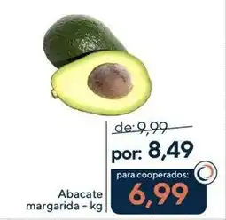 Coop Abacate margarida oferta