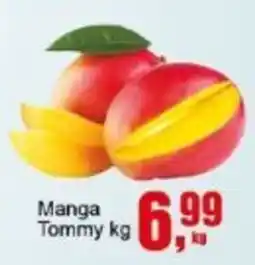 Negreiros Manga Tommy oferta