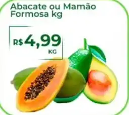 Abacate ou Mamão Formosa
