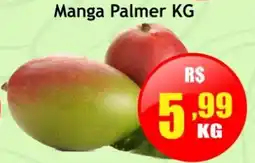 Manga Palmer