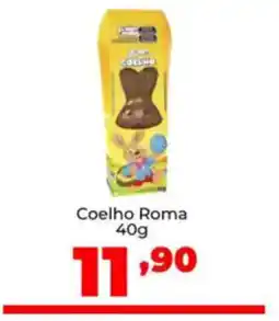 Coelho Roma