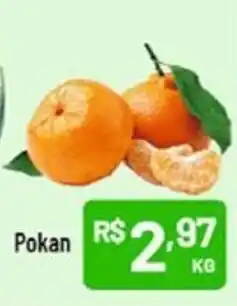 Pokan