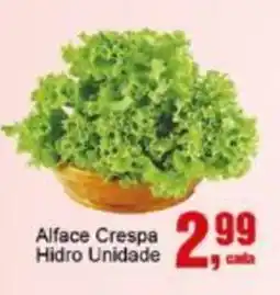 Alface Crespa Hidro Unidade