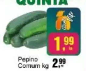 Negreiros Pepino Comum oferta