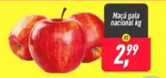 Frangolândia Maca Gala 1kg oferta