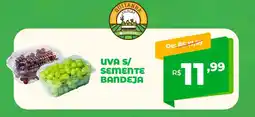 Del Moro Supermercados Uva s/ semente bandeja oferta