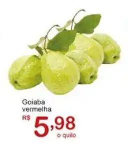 Giga Atacado Goiaba vermelha oferta