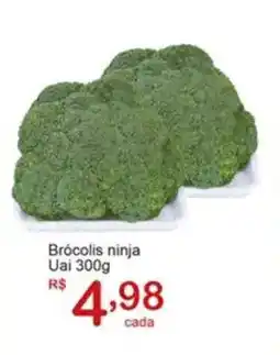 Giga Atacado Brócolis ninja Uai oferta