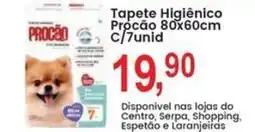 Federzoni Supermercados Tapete Higiênico Procão oferta
