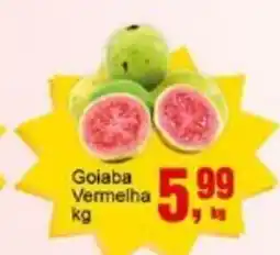 Negreiros Goiaba Vermelha oferta