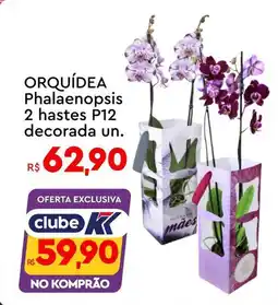 Komprao Atacadista ORQUÍDEA Phalaenopsis 2 hastes P12 decorada un. oferta