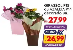 Komprao Atacadista Girassol p15 ou azaleia p14 decorado un. oferta