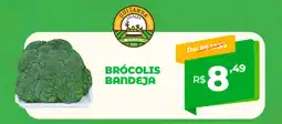 Del Moro Supermercados Brócolis bandeja oferta