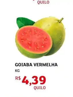 Goiaba Vermelha