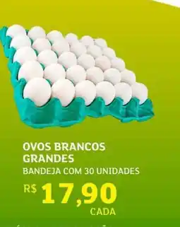 Assaí Atacadista OVOS BRANCOS GRANDES oferta