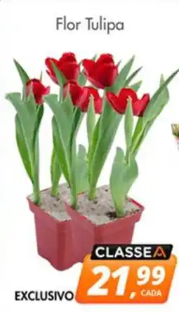 Delta Supermercados Flor Tulipa oferta